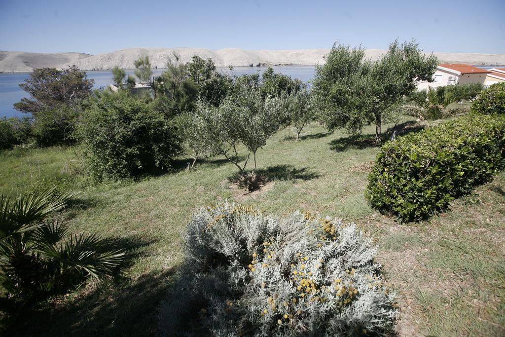Apartments Roza Miškovići エクステリア 写真